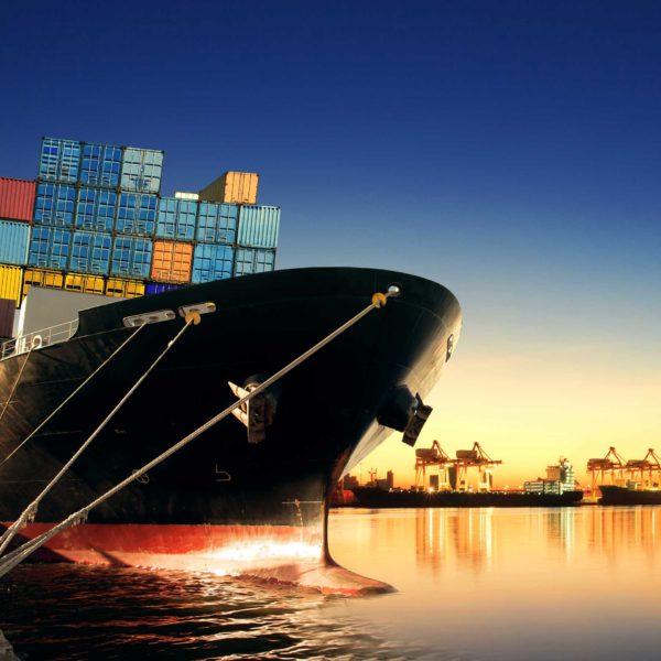 A Global Bridge with 20 Years of Local Heart